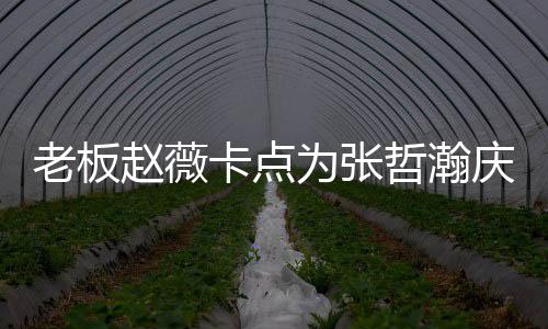 剧卡点代表电视庆生个人赵薇哲瀚 张哲瀚资料作品为张老板